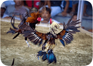 bj66-3col-img-steps-sec3